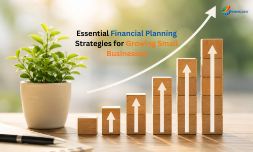 Essential Financial Planning Strategies for Growing Small Businesses: Fred Michael